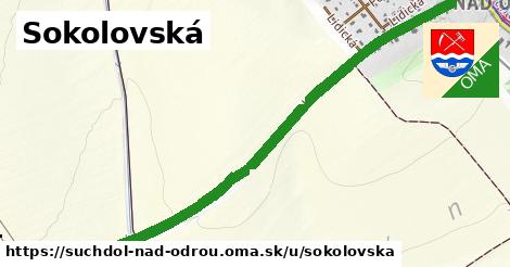 ilustrácia k Sokolovská, Suchdol nad Odrou - 3,1 km