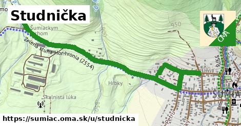 Studnička, Šumiac