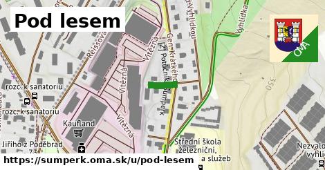 Pod lesem, Šumperk