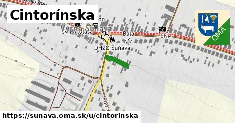 Cintorínska, Šuňava