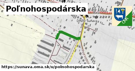 Poľnohospodárska, Šuňava