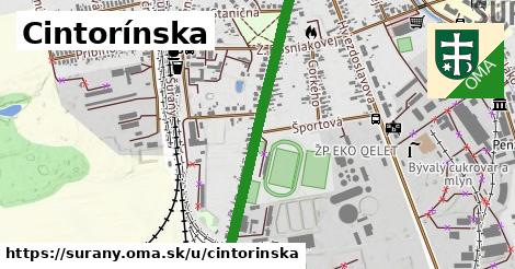 ilustrácia k Cintorínska, Šurany - 1,19 km