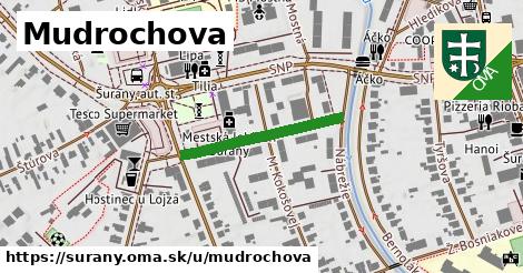 Mudrochova, Šurany