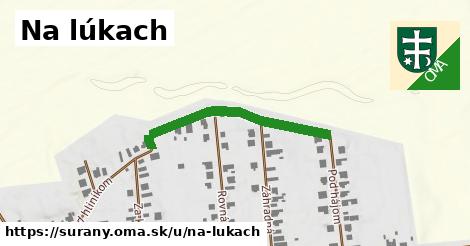 Na lúkach, Šurany