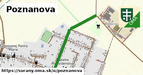 ilustrácia k Poznanova, Šurany - 0,79 km