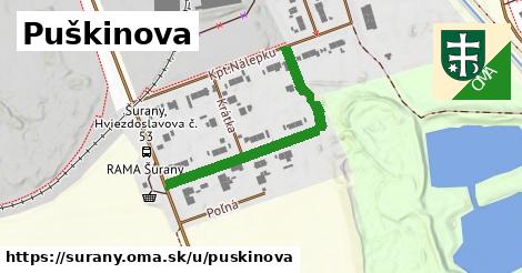 Puškinova, Šurany