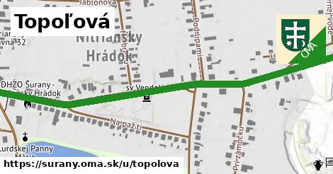 ilustrácia k Topoľová, Šurany - 0,80 km