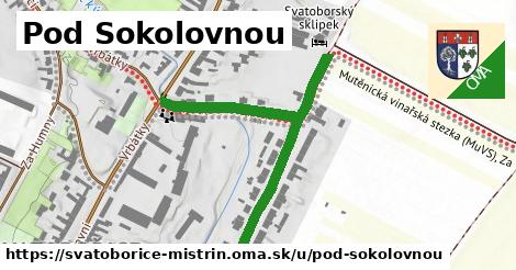 ilustrácia k Pod Sokolovnou, Svatobořice-Mistřín - 524 m