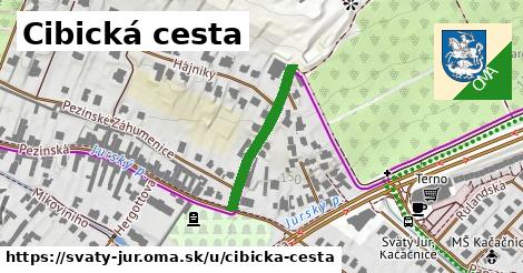 Cibická cesta, Svätý Jur