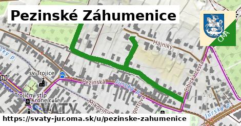 Pezinské Záhumenice, Svätý Jur