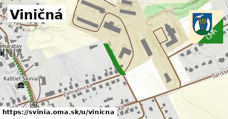 Viničná, Svinia