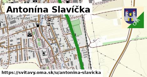 Antonína Slavíčka, Svitavy