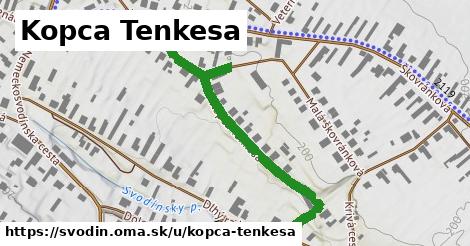 Kopca Tenkesa, Svodín