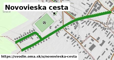 Novovieska cesta, Svodín