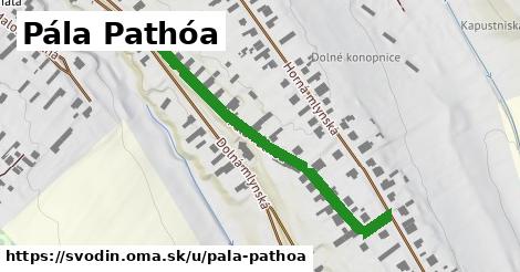 ilustrácia k Pála Pathóa, Svodín - 510 m