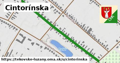 Cintorínska, Tekovské Lužany