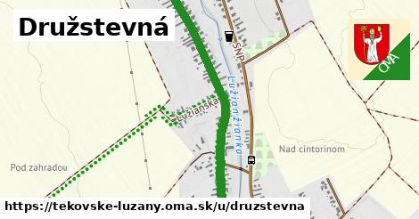 Družstevná, Tekovské Lužany