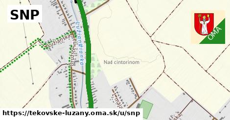 ilustrácia k SNP, Tekovské Lužany - 3,1 km