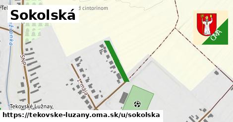 Sokolská, Tekovské Lužany