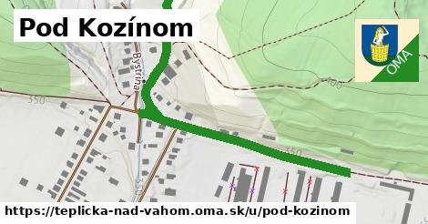 ilustrácia k Pod Kozínom, Teplička nad Váhom - 667 m
