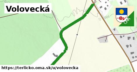 Volovecká, Těrlicko