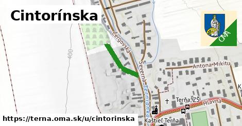 Cintorínska, Terňa