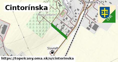 Cintorínska, Topoľčany