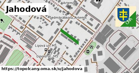 Jahodová, Topoľčany