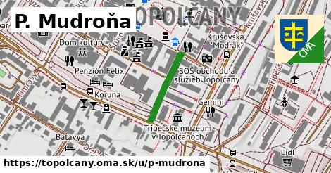 P. Mudroňa, Topoľčany