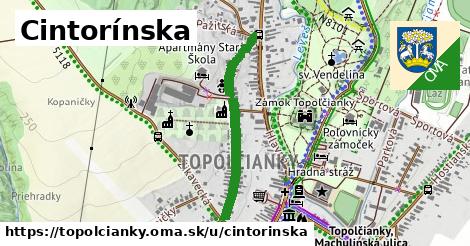 ilustrácia k Cintorínska, Topoľčianky - 621 m