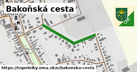 Bakoňská cesta, Topoľníky