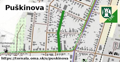 Puškinova, Tornaľa