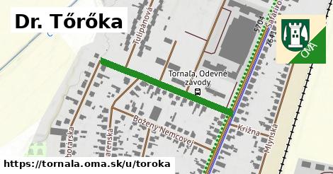 ilustrácia k Dr. Tőrőka, Tornaľa - 317 m
