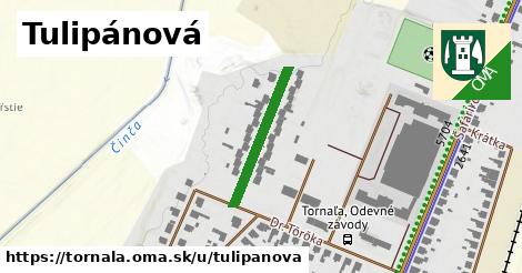 Tulipánová, Tornaľa