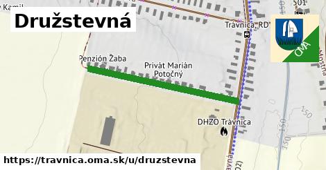 Družstevná, Trávnica