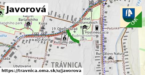 Javorová, Trávnica