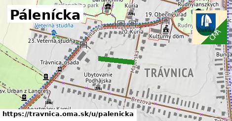 Pálenícka, Trávnica