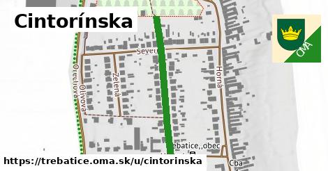 Cintorínska, Trebatice