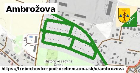 ilustrácia k Ambrožova, Třebechovice pod Orebem - 1,47 km