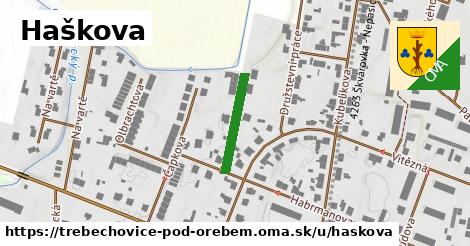 Haškova, Třebechovice pod Orebem