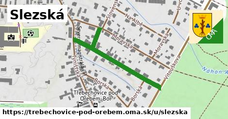 Slezská, Třebechovice pod Orebem