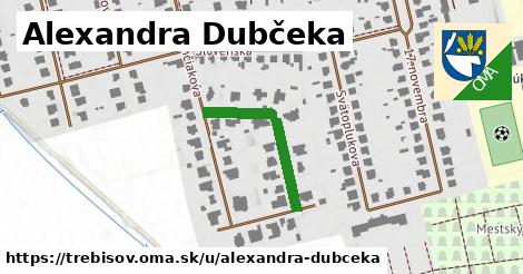 ilustrácia k Alexandra Dubčeka, Trebišov - 242 m