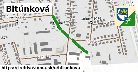 ilustrácia k Bitúnková, Trebišov - 263 m