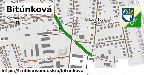 Bitúnková, Trebišov