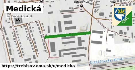 ilustrácia k Medická, Trebišov - 256 m