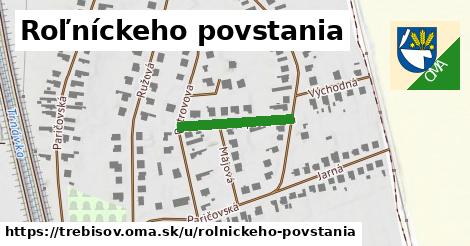 ilustrácia k Roľníckeho povstania, Trebišov - 183 m