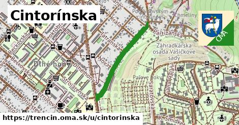 Cintorínska, Trenčín