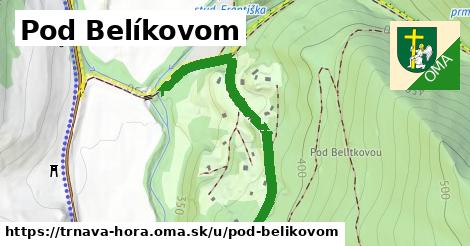 ilustrácia k Pod Belíkovom, Trnavá Hora - 448 m
