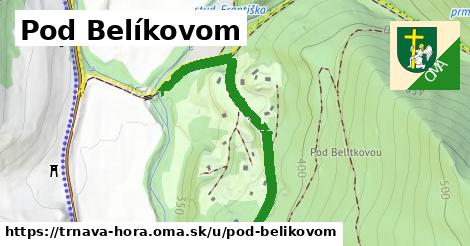 Pod Belíkovom, Trnavá Hora