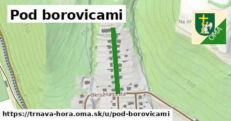ilustrácia k Pod borovicami, Trnavá Hora - 211 m